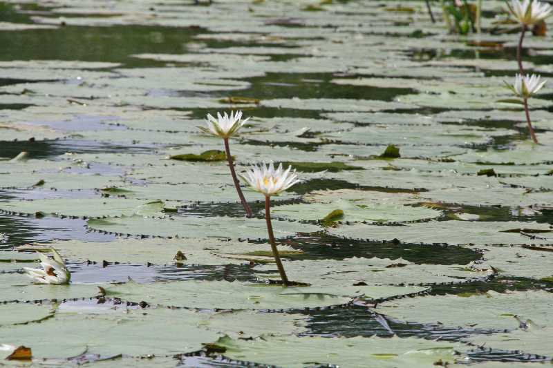 Mexico & Guatemala 2010 - 0955